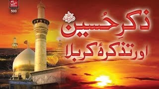 Allah ki Raza hai Mohabbat Hussain ki HD _ Naz Ijaz. Full