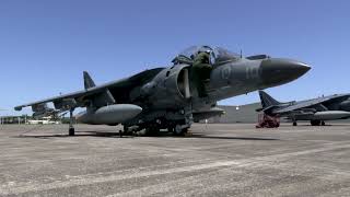 Marine Attack Squadron (VMA) 231 fly AV-8B Harrier II jets at Naval Air Station Joint Reserve Base