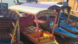 Shikara ride Dal Lake