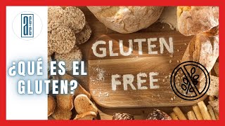 🍞¿ Qué es el GLUTEN ? 🍪 / 🤢¿ Por qué es MALO el GLUTEN ? 🙅‍♂️/ 👨‍🔬Alimentos con Calidad ✅