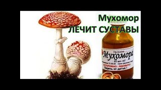 Настойка МУХОМОРА на водке от АРТРОЗА и АРТРИТА. Рецепт приготовления и применения / Фролов Ю.А.