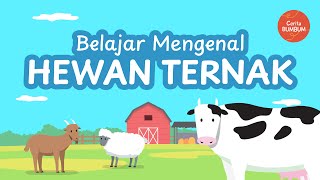 Mengenal Hewan Ternak | Nama-nama Hewan Ternak | Animasi Binatang | Edukasi Anak