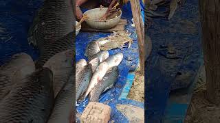 Sunday Fish market #fishing #fish #market #viral #shorts #short