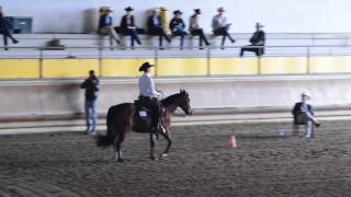 AMATEUR HORSEMANSHIP. IAF 6763