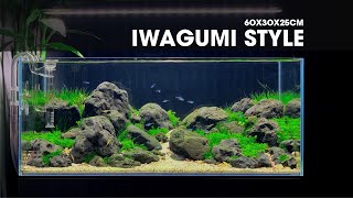 IWAGUMI AQUASCAPE 60CM - HỒ THỦY SINH PHONG CÁCH IWAGUMI