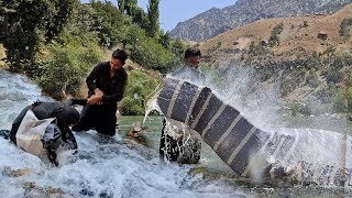 Nomadic family river ritual: Washing blankets and carpets, a glimpse of tradition 🌍