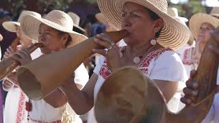 Carnavales; el exceso antes de la Semana Santa