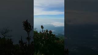 Lawu Via cemoro sewu pemandangannya syantik