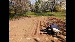 Establishing Organic Vegetable Garden