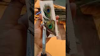 Peacock Father Bookmark 🔖🦚#diy #paintellectualpriya #viralshort #art #handmade #youtubeshorts