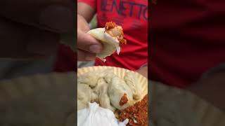 STREET SIDE MOMOS|PANEER MOMOS|NAGPUR|EVEREST MOMOS|INDIAN STREET FOOD|