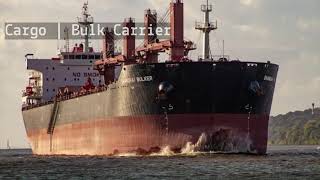 Cargo Ship | Shanghai Bulker Bulk Carrier