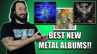 Top 5 New Metal Albums of The Week! - June 7th 2024