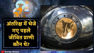 Who were the first animals sent into the space?  ;  अंतरिक्ष में भेजे गए पहले जीवित प्राणी कौन थे?