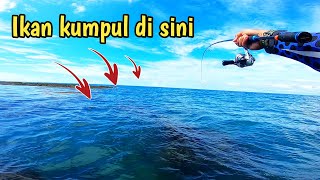 Astaga..! ini spot mancing atau pasar ikan? 😮 setiap umpan jatuh langsung disambar bikin nagih 🤩