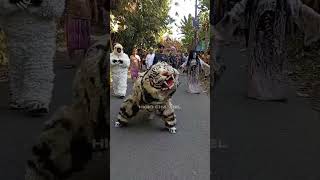 Karnaval Macan #shortvideo