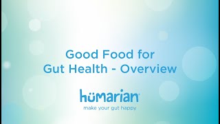 Good Food for Gut Health - Overview