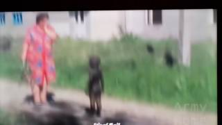 3 Gray Aliens caught on Tape confronting woman