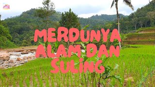 Mendengarkan Suling dan Suara Alam Pedesaan | 4K