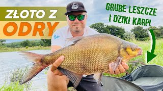 [132] Nowe miejsce hojnie darzy. 🤩🎣Grubo, tanio, skutecznie.💰👌