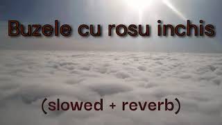 Tzanca Uraganu - Buzele cu rosu inchis [slowed + reverb]