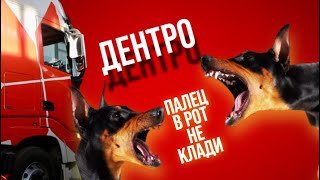 ГРУЗ ПОД ОХРАНОЙ #dentro #дальнобой