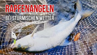 Stürmisch/Windig/Erfolgreich/Am Rhein