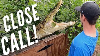 Greenhouse FULL of CROCODILES!!