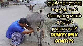 குழந்தைகளுக்கு கழுதை பால் கொடுப்பதனால் ஏற்படும் நன்மைகள்/ Donkey Milk Benefits