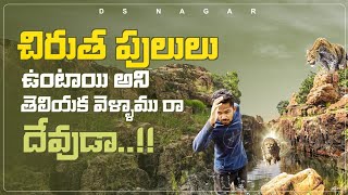 పులులు ఉండే స్థావరానిక 6km నడిచింది••?//The place Where Cheetahs Lives places// #Owk//#Dsnagar//