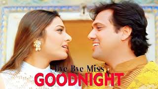 Bye Bye Miss Goodnight See You Again - Govinda, Tabu | Kumar Sanu, Alka Yagnik