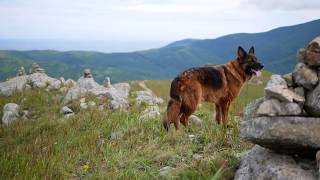 Сопки полуострова Гамова. Хасанский район. Путешествия по Приморскому краю.