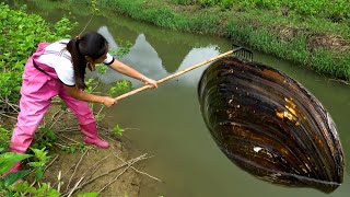 The scenery here is beautiful, and the pearls in the river clams are all beautiful···