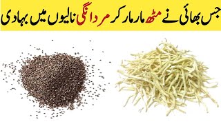 Safed Mosli and  Psyllium Husk Recipe by Nizami Harbels | موصلی سفید اور چھلکا اسپغول کے فوائد