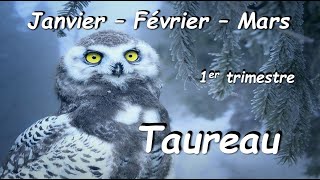 ♉️ TAUREAU 🐂 - 1er trimestre 2024 : Nouveau départ...à vous de choisir !