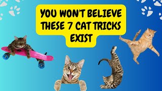 7 Mind-Blowing Cat Tricks You Won't Believe Exist