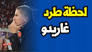 لحظة طرد مدرب الوداد غاريدو …عاش على الاعصاب ديالو