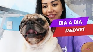 👩🏽‍⚕️ DIA A DIA (CORRIDO) | VLOG MEDVET