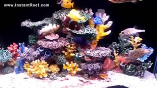 Instant Reef aquarium decoration artificial corals in 90 gallon tank