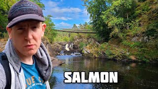 Rogie Falls: A Hidden Gem on the NC500 | Scotland Adventure 🏴󠁧󠁢󠁳󠁣󠁴󠁿