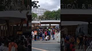 KUMIKITANG PROYEKTO NG MAYNILA #iskomoreno#manilazoo#short#shortvideo