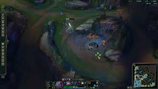 Evelynn blue start leashless example clear