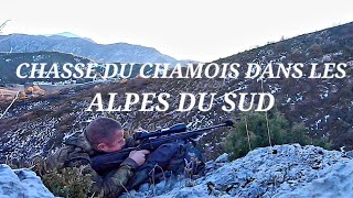 Hunting Alpine Chamois 2022 /Chasse à l'approche du chamois dans les alpes du sud /