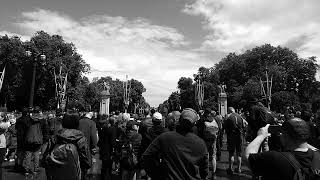 Trooping the Colour, 15/6/24, the flypast in black and white as forgot to reset camera! What a fool!