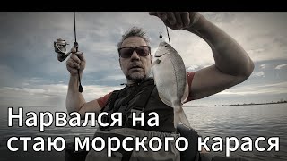 Ловля морского карася осенью