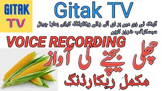 Sittay (Challi) Bechne Ki Awaz | Gitak TV| Voice Recording 2023