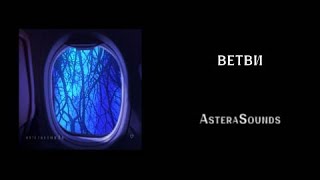 AsteraSounds — Ветви (Official Lyrics Video)