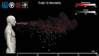 Sneezing event for  temperature 20 °C and relative humidity 50%