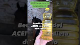 ACEITES EN CABALLOS  #caballos #polo #horse