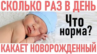 ЧАСТОТА СТУЛА У НОВОРОЖДЕННОГО | Сколько раз в день какает новорожденный